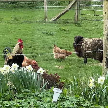 Casa vacanze Idyllisch Gelegenes Naehe Heiligenhafen Gremersdorf